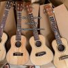 dan ukulele concert cordoba 3