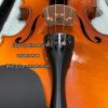dan violin gia re cho nguoi moi hoc tai tphcm 3