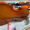 dan violin gia re cho nguoi moi hoc tai tphcm 5