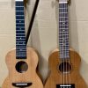 ukulele concert gia re 1
