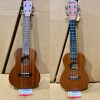 ukulele concert gia re 4