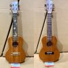 ukulele concert gia re 7