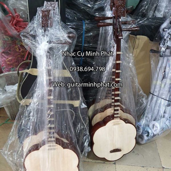 Đàn Sến Giá Rẻ Cho Người Mới Tập Chơi