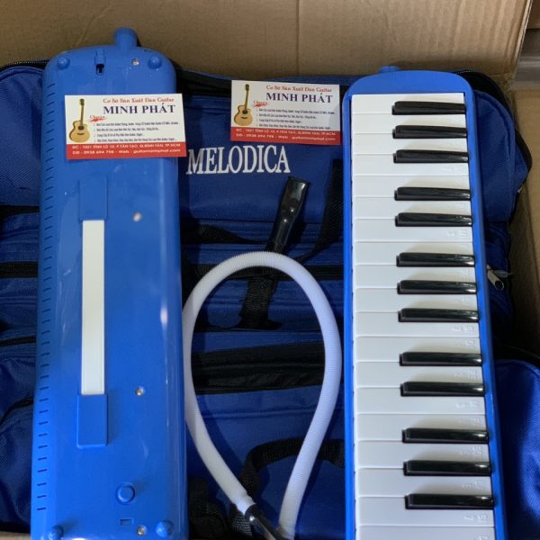 Kèn Phím Melodica học sinh