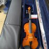 shop ban dan violin tphcm 2