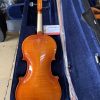shop ban dan violin tphcm 3