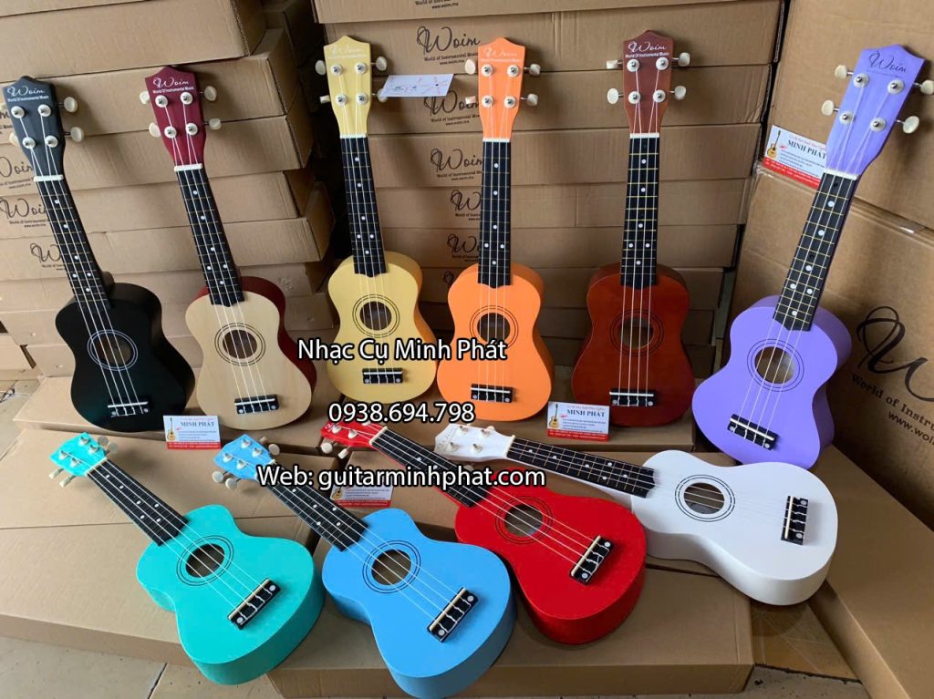 Địa chỉ mua đàn ukulele 21 inch giá rẻ tại Tphcm