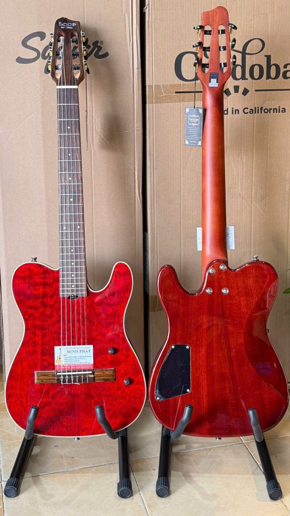 Đàn Guitar Classic Điện Sqoe SEGD900 6 Sqoe SEGD900 là mẫu guitar tích hợp hệ thống pickup active, được phát triển dành cho người chơi cần một cây đàn vừa có âm thanh mộc ấm áp