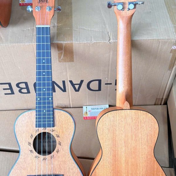 Đàn Ukulele Concert 23 Inch G Danube