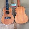 dan ukulele concert 23 inch gdanube gia re chinh hang 2