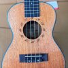 dan ukulele concert 23 inch gdanube gia re chinh hang 4