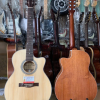 Guitar Acosutic Thùng Mỏng Gỗ Hồng Đào MP-A19 9 Thiet ke chua co ten 2